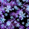 Snowflake Symphony Sport - Image 42