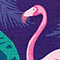 Flamingo Sport + Lunchbox - Image 41